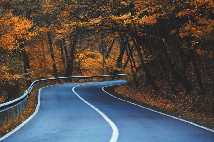 road, curve, trees